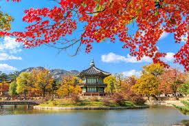 South Korea Tourist and Business visa